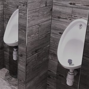 Waterless Urinal